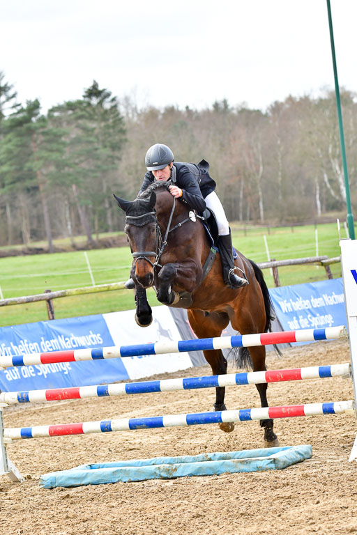 Reitsportzentrum Bremervörde 10.4.21 | 10421 Springpferde L_67 