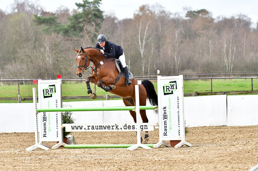 Reitsportzentrum Bremervörde 10.4.21 | 10421 Springpferde L_74 