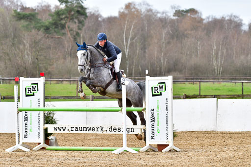 Reitsportzentrum Bremervörde 10.4.21 | 10421 Springpferde L_81 