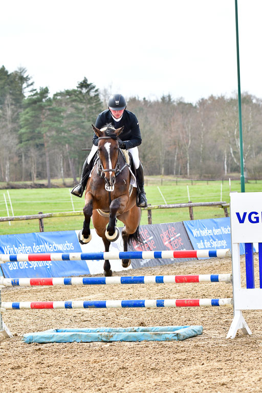 Reitsportzentrum Bremervörde 10.4.21 | 10421 Springpferde L_86 