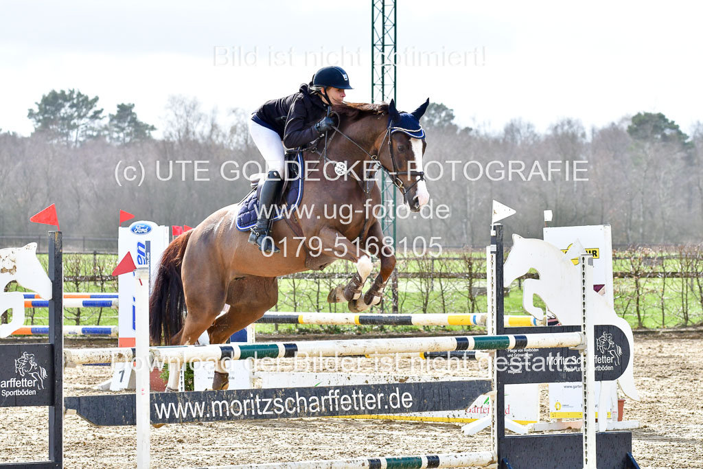 Reitsportzentrum Bremervörde | 070421 Springpferde L  2 _14 