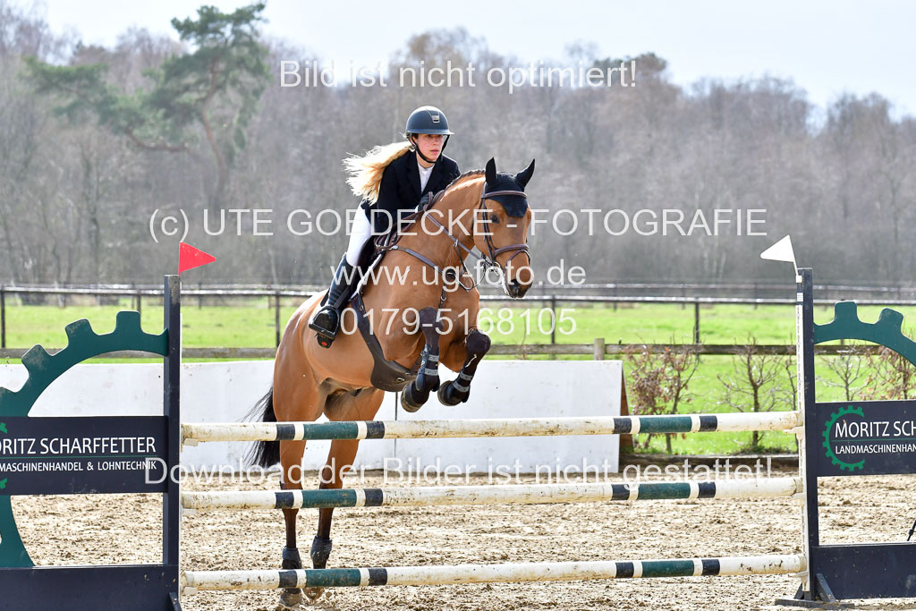 Reitsportzentrum Bremervörde | 070421 Springpferde L  2 _43 