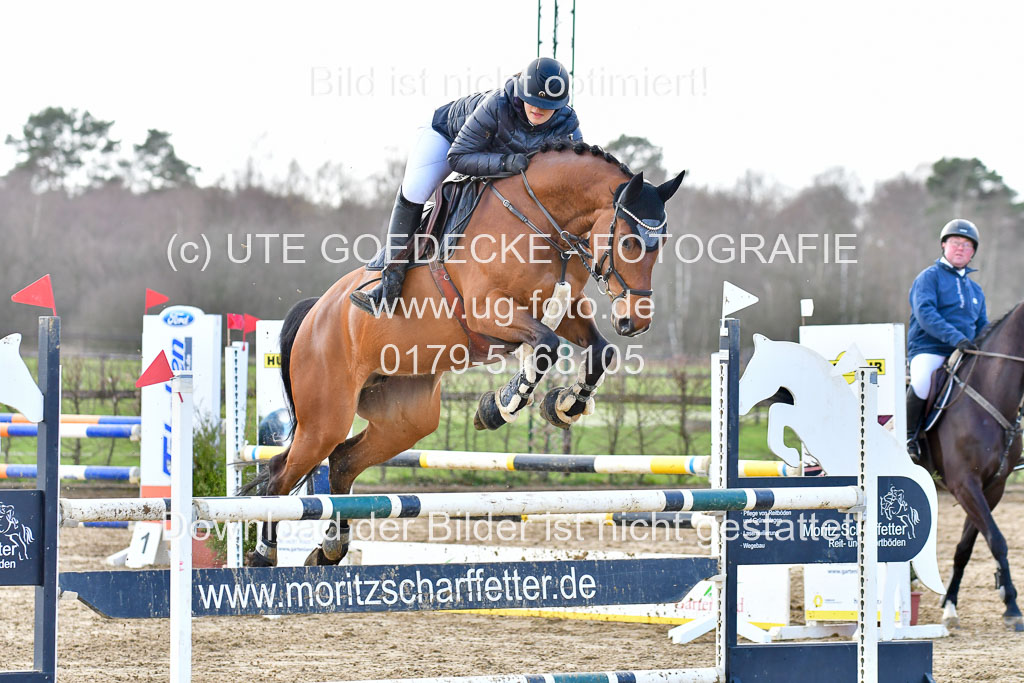 Reitsportzentrum Bremervörde | 070421 Springpferde L 2 _56