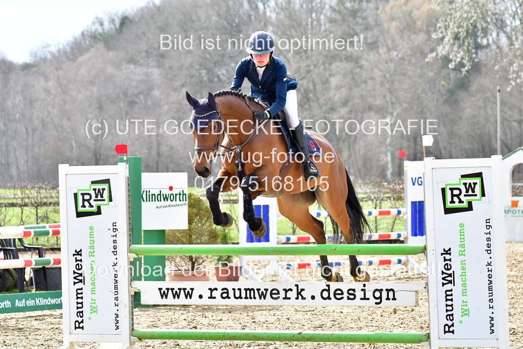 Reitsportzentrum Bremervörde | 070421 Springpferde L 2 _68