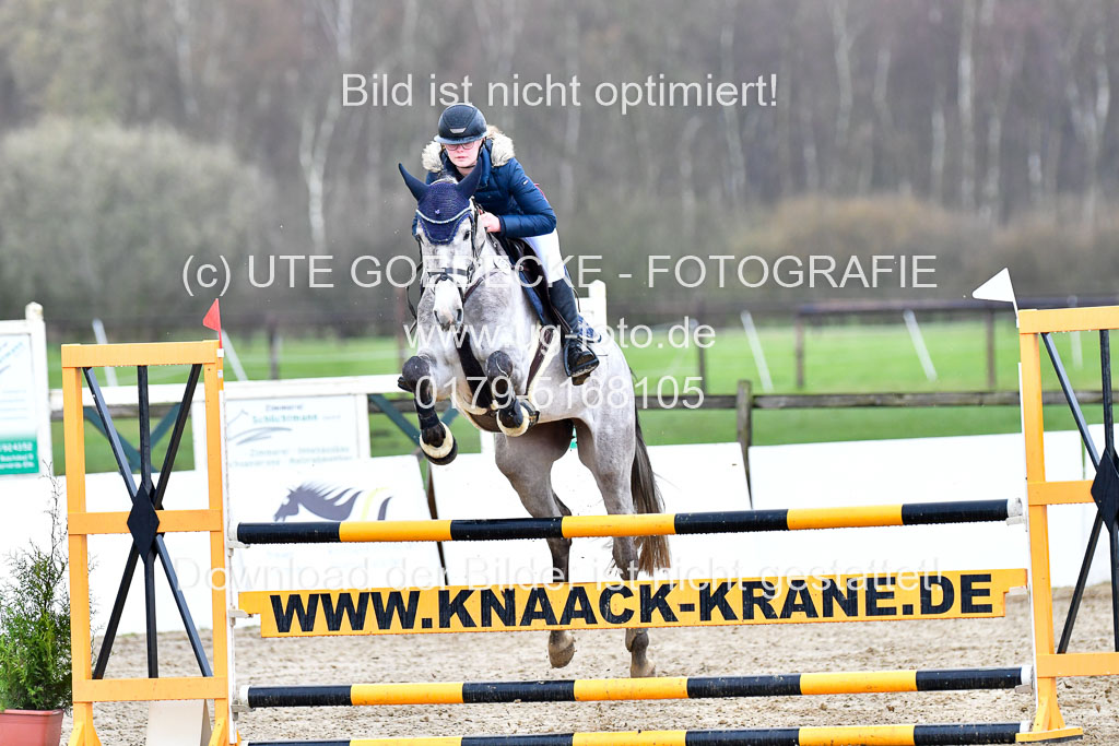 Reitsportzentrum Bremervörde | 070421 Springpferde L 