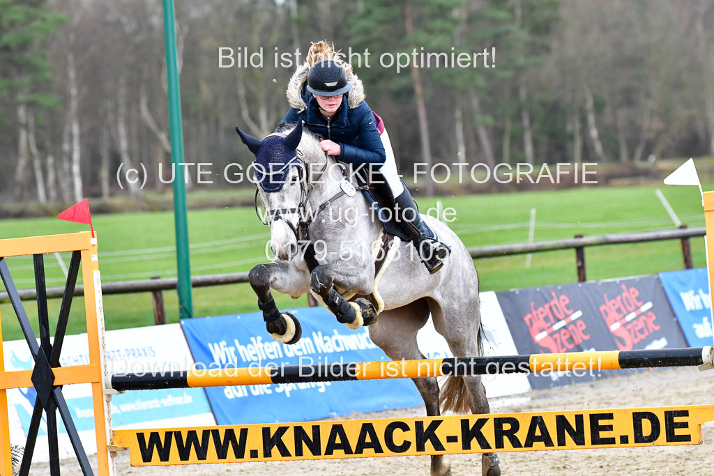 Reitsportzentrum Bremervörde | 070421 Springpferde L_001 