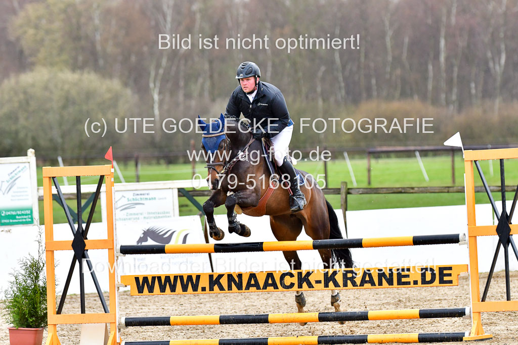 Reitsportzentrum Bremervörde | 070421 Springpferde L_004 