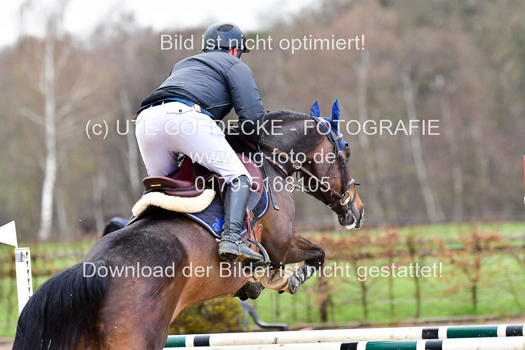 Reitsportzentrum Bremervörde | 070421 Springpferde L_006 