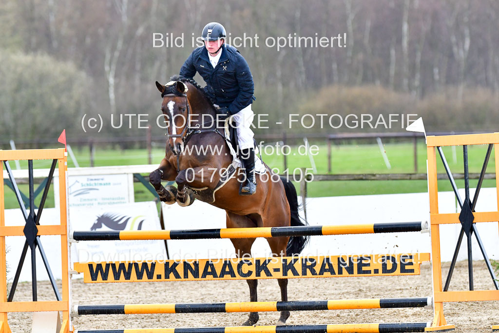 Reitsportzentrum Bremervörde | 070421 Springpferde L_017 