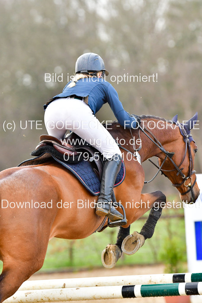 Reitsportzentrum Bremervörde | 070421 Springpferde L_028 