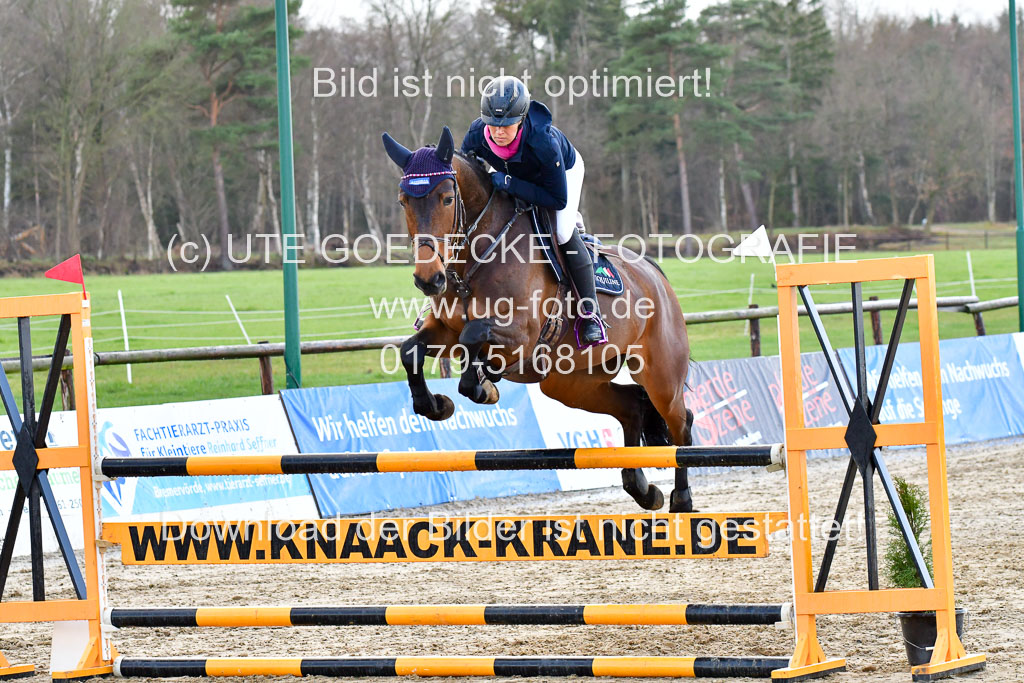 Reitsportzentrum Bremervörde | 070421 Springpferde L_042 