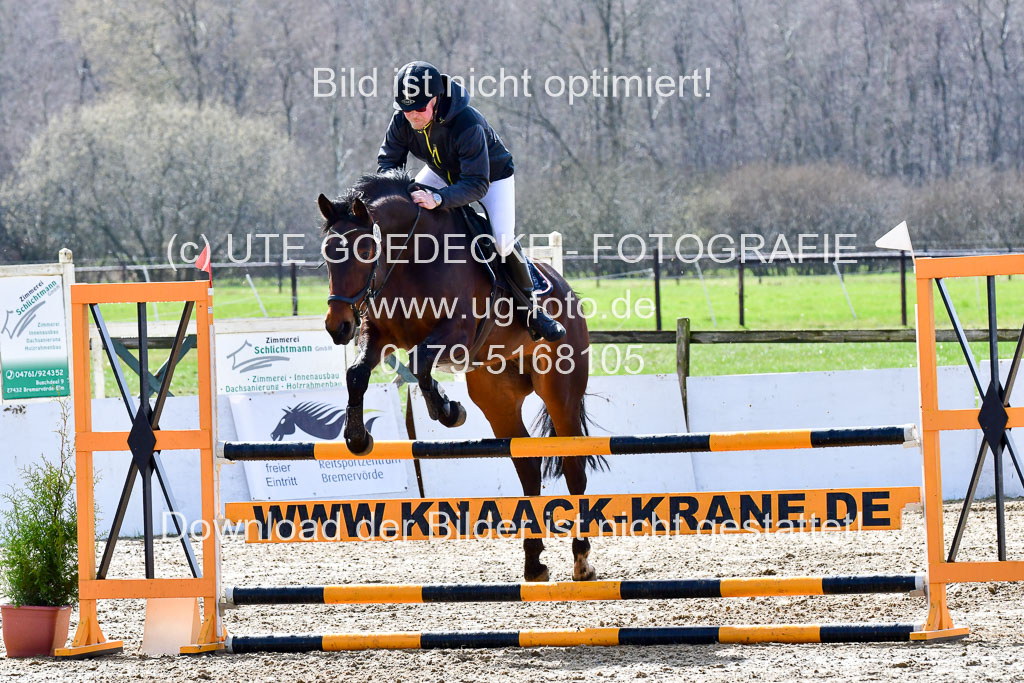 Reitsportzentrum Bremervörde | 070421 Springpferde L_050 