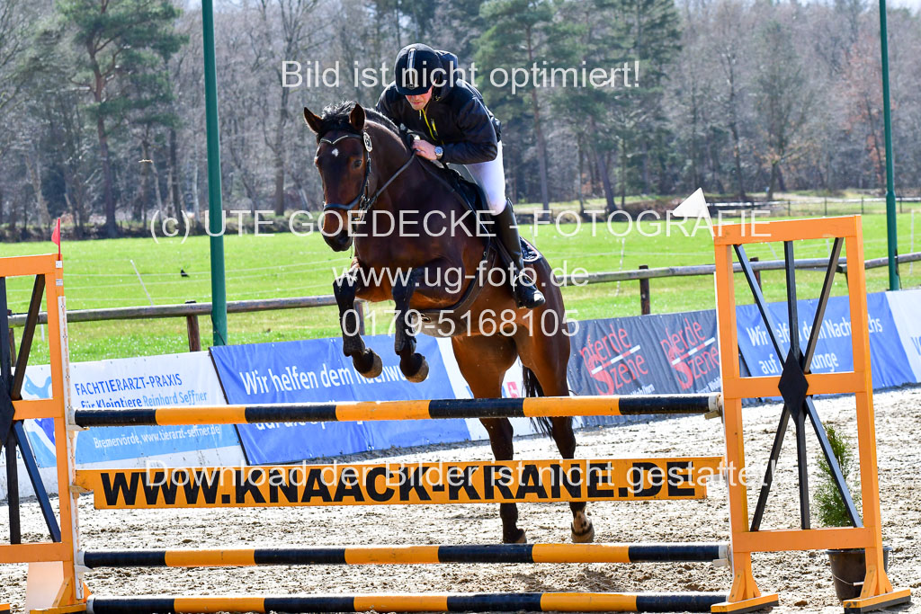 Reitsportzentrum Bremervörde | 070421 Springpferde L_052 