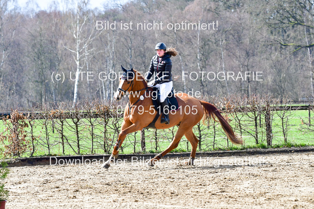 Reitsportzentrum Bremervörde | 070421 Springpferde L_055 