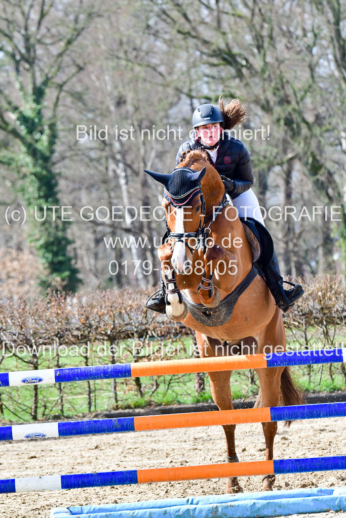 Reitsportzentrum Bremervörde | 070421 Springpferde L_056 