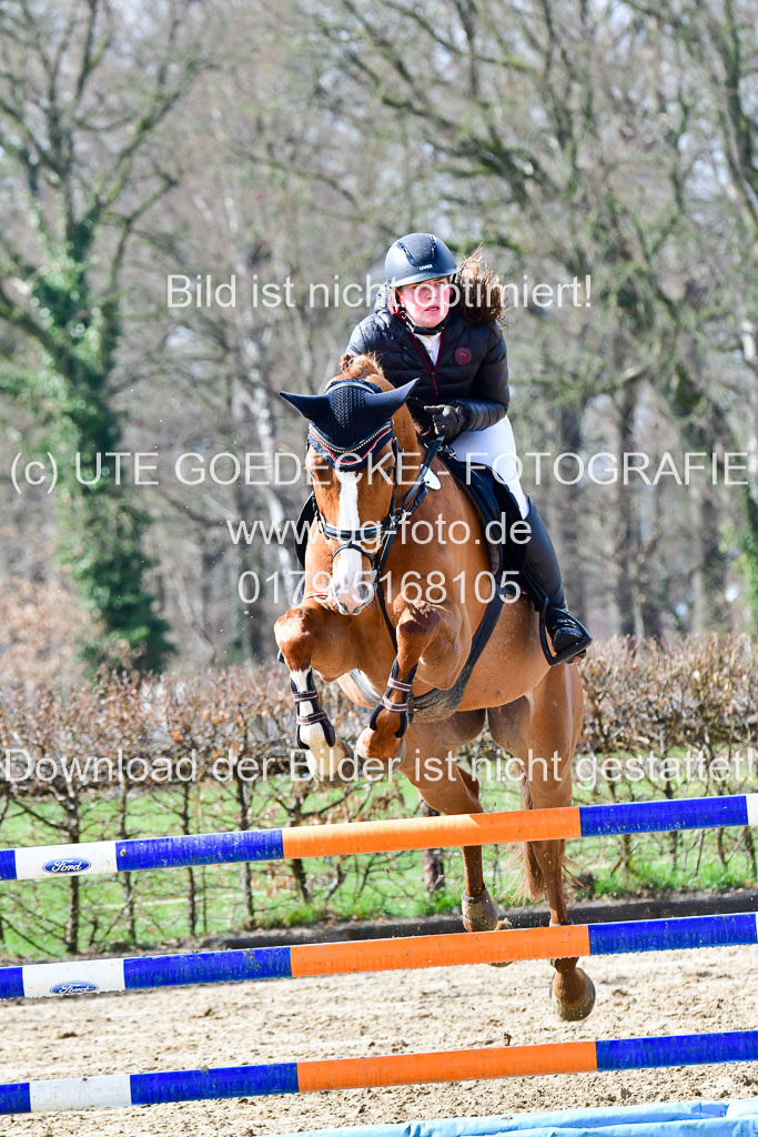 Reitsportzentrum Bremervörde | 070421 Springpferde L_057 