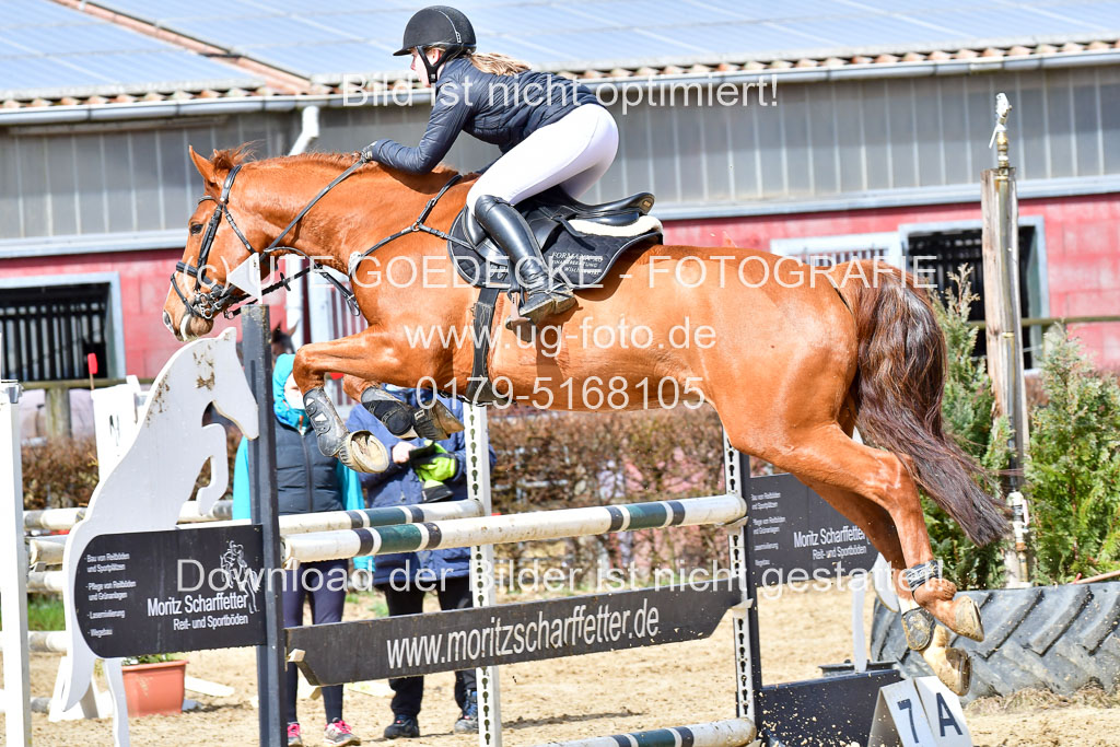 Reitsportzentrum Bremervörde | 070421 Springpferde L_060 