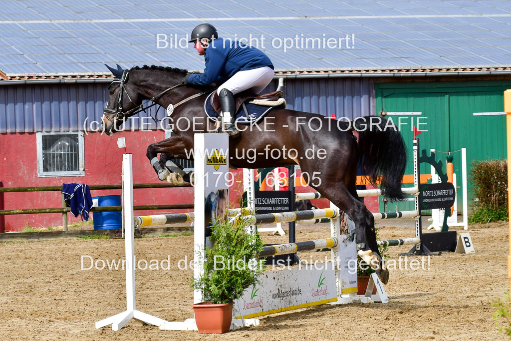 Reitsportzentrum Bremervörde | 070421 Springpferde L_061 