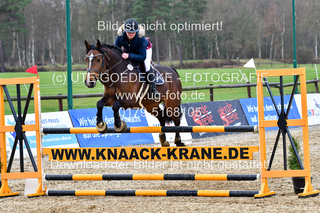 Reitsportzentrum Bremervörde | 070421 Springpferde L_068