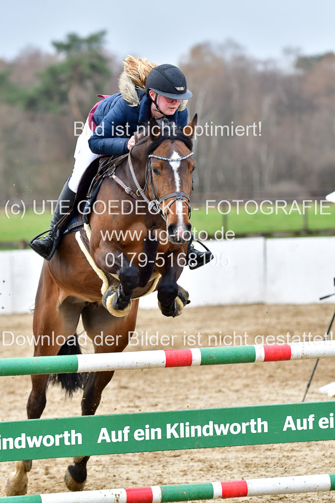 Reitsportzentrum Bremervörde | 070421 Springpferde L_069 