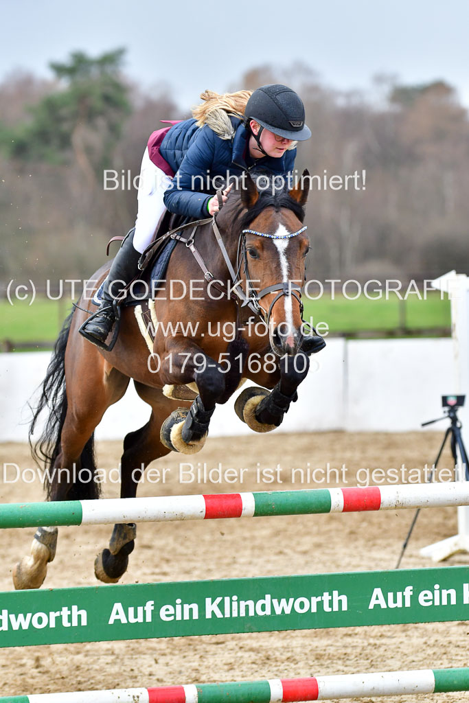 Reitsportzentrum Bremervörde | 070421 Springpferde L_070 