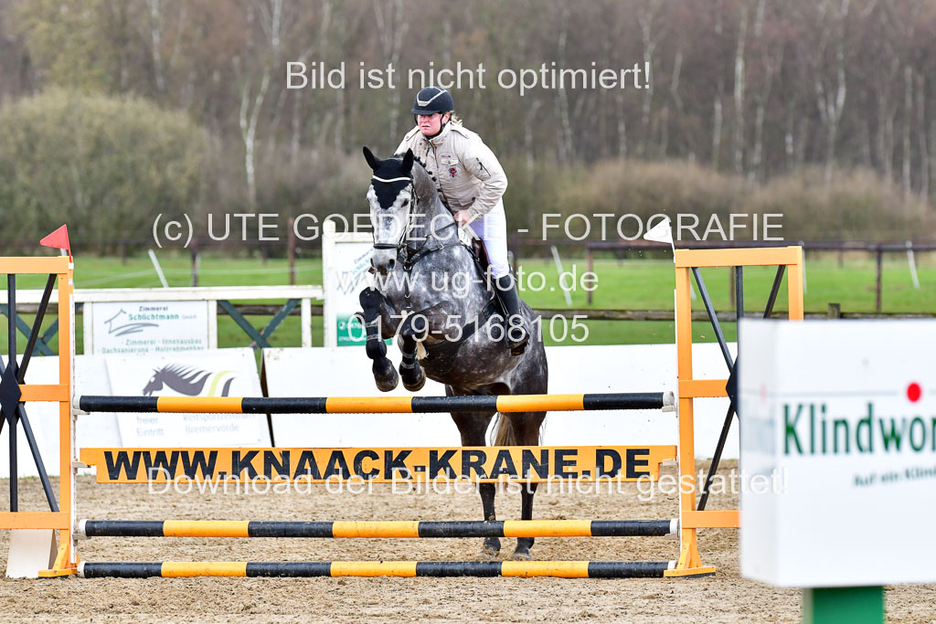 Reitsportzentrum Bremervörde | 070421 Springpferde L_076 