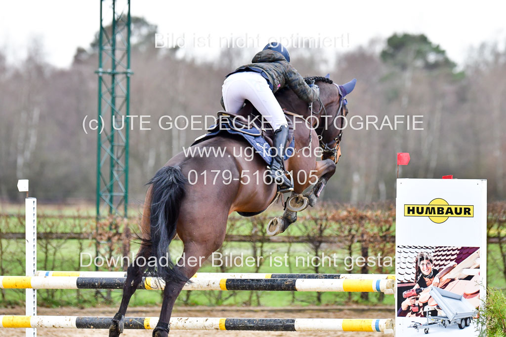 Reitsportzentrum Bremervörde | 070421 Springpferde L_080 