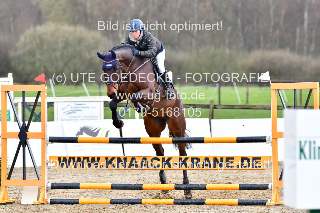 Reitsportzentrum Bremervörde | 070421 Springpferde L_081 