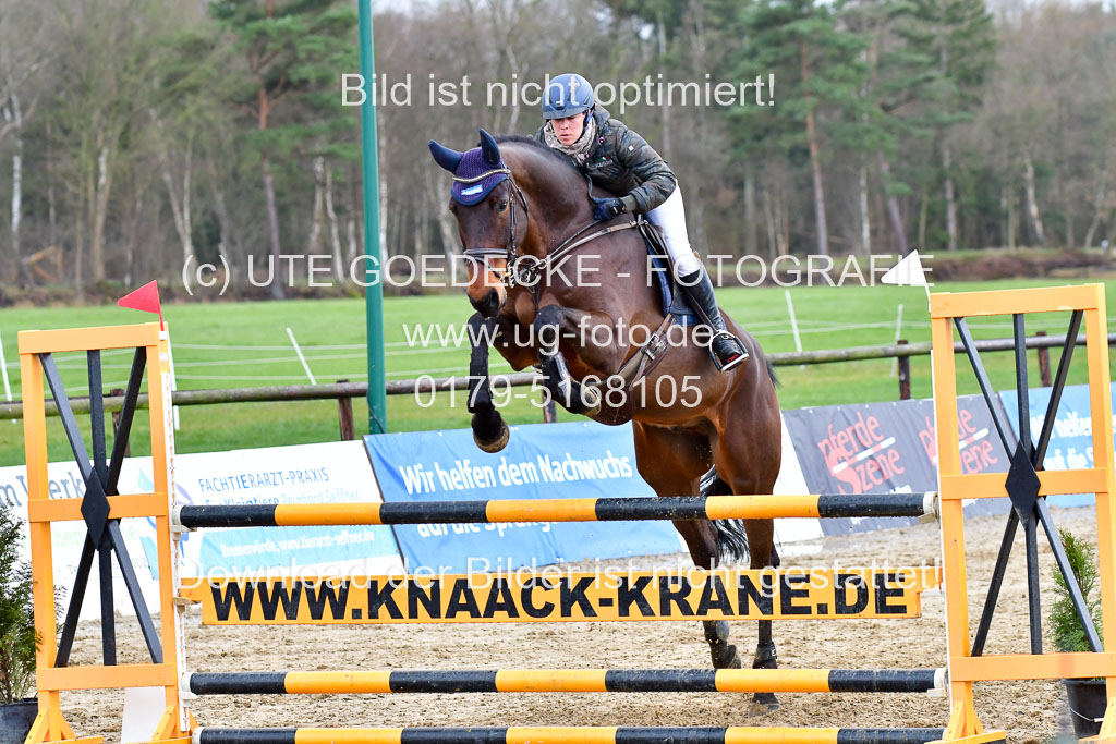 Reitsportzentrum Bremervörde | 070421 Springpferde L_082 