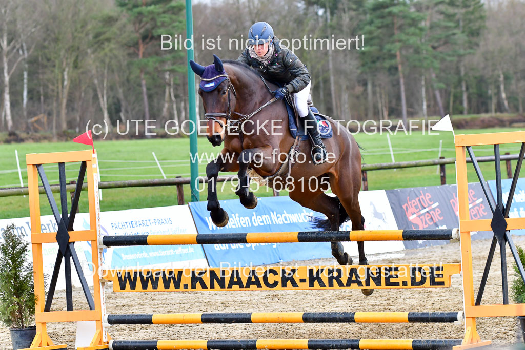 Reitsportzentrum Bremervörde | 070421 Springpferde L_083 