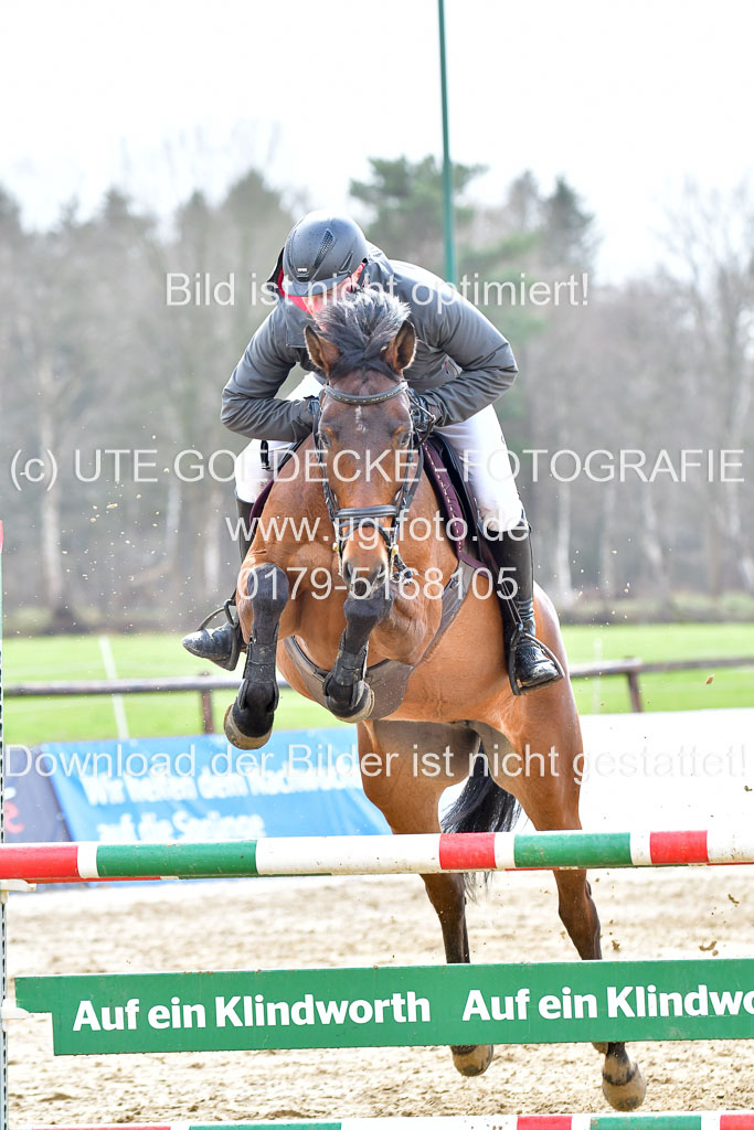 Reitsportzentrum Bremervörde | 070421 Springpferde L_094 