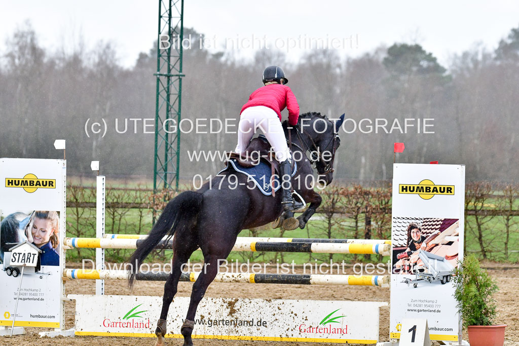 Reitsportzentrum Bremervörde | 070421 Springpferde L_110 