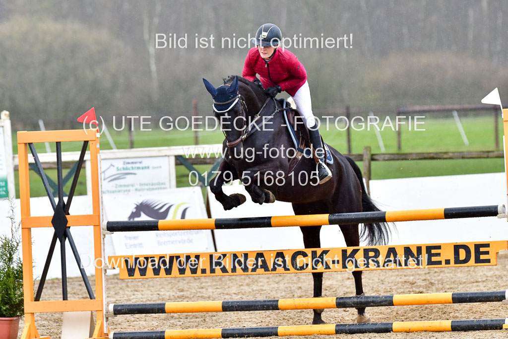 Reitsportzentrum Bremervörde | 070421 Springpferde L_111 