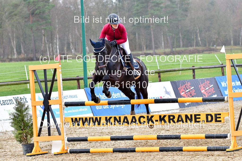 Reitsportzentrum Bremervörde | 070421 Springpferde L_113 