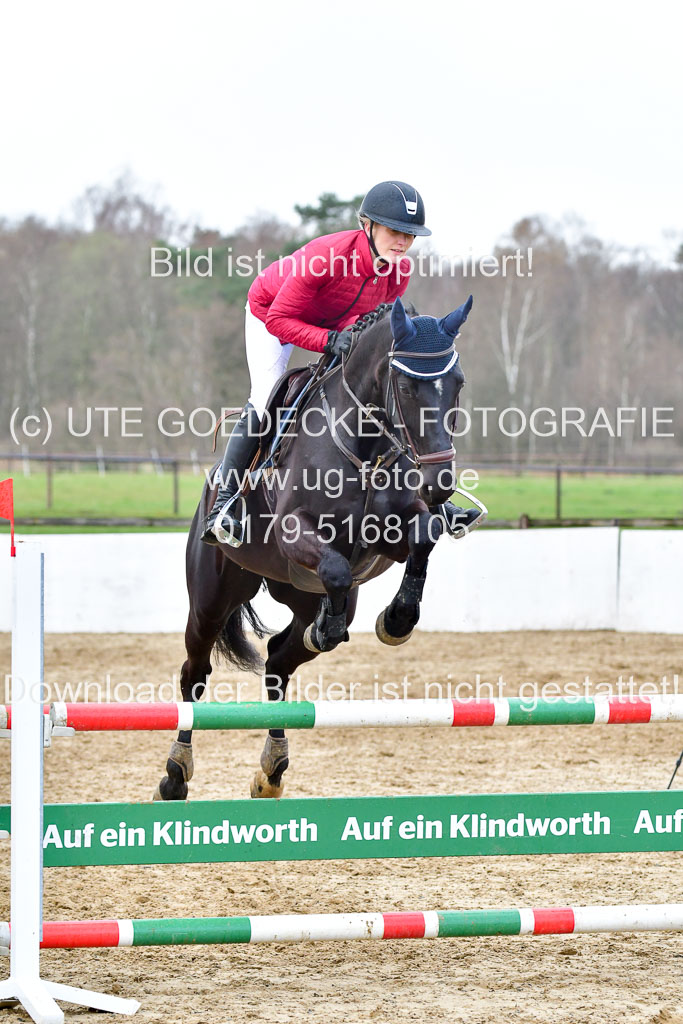 Reitsportzentrum Bremervörde | 070421 Springpferde L_114 