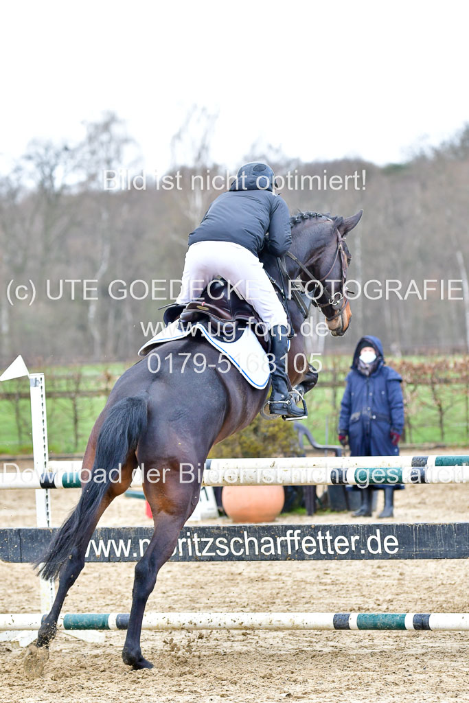 Reitsportzentrum Bremervörde | 070421 Springpferde L_118 