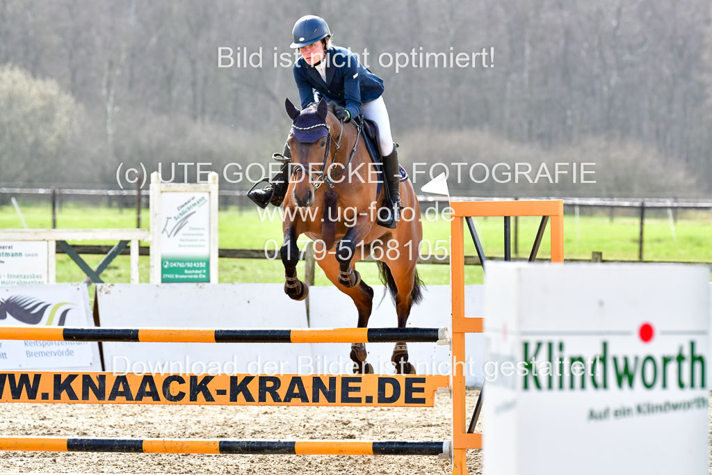 Reitsportzentrum Bremervörde | 070421 Springpferde L_120 