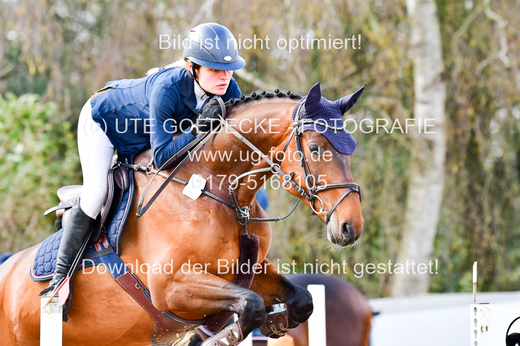 Reitsportzentrum Bremervörde | 070421 Springpferde L_123 