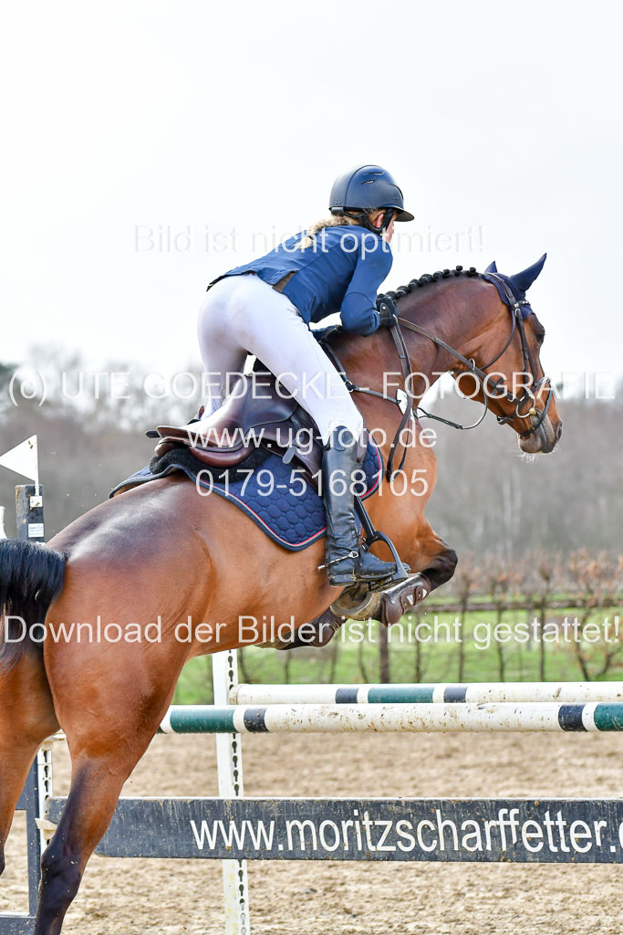 Reitsportzentrum Bremervörde | 070421 Springpferde L_124 