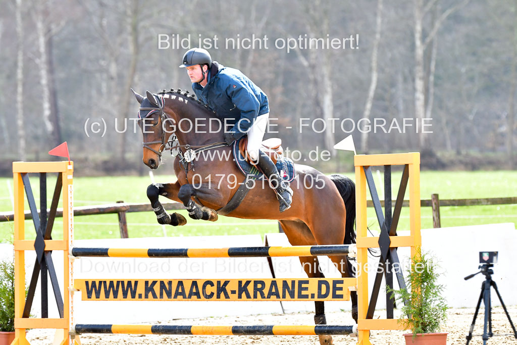 Reitsportzentrum Bremervörde | 070421 Springpferde L_132 