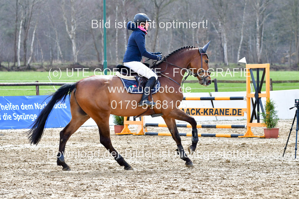 Reitsportzentrum Bremervörde | 070421 Springpferde L_137 