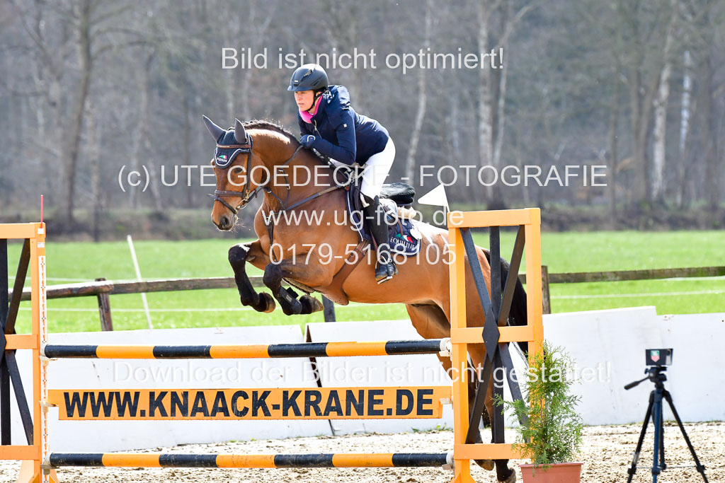 Reitsportzentrum Bremervörde | 070421 Springpferde L_138 