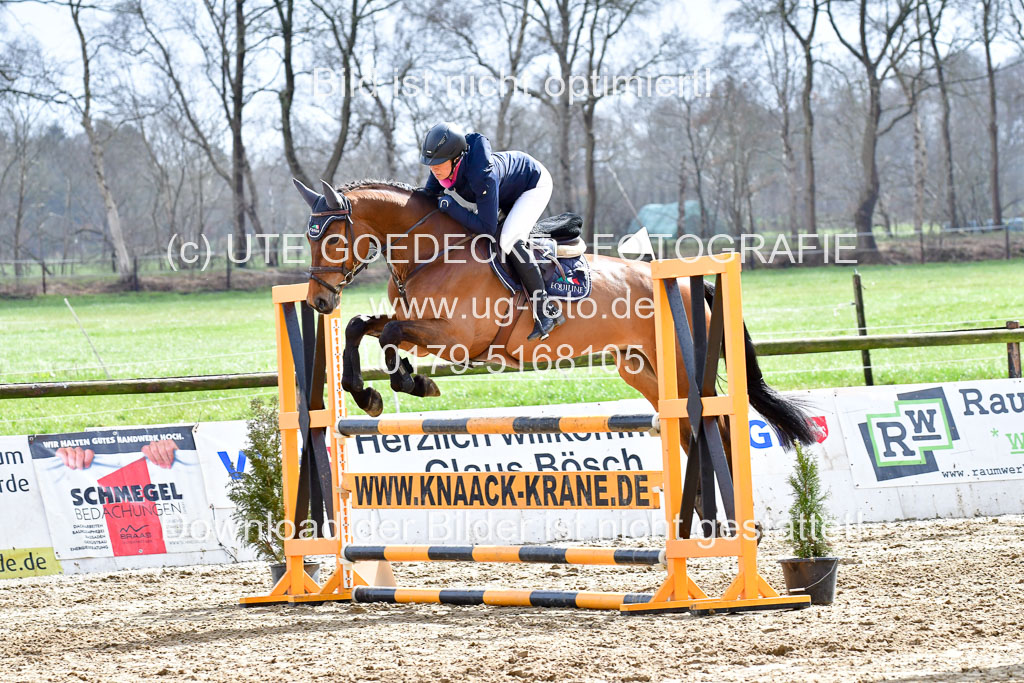 Reitsportzentrum Bremervörde | 070421 Springpferde L_139 