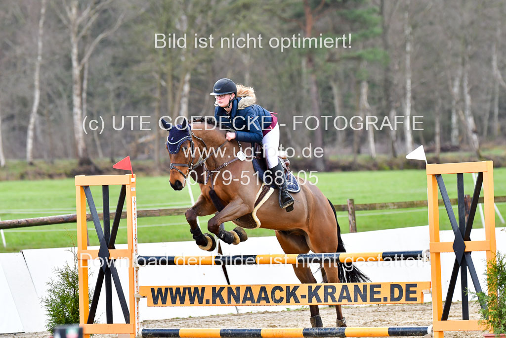 Reitsportzentrum Bremervörde | 070421 Springpferde L_142 