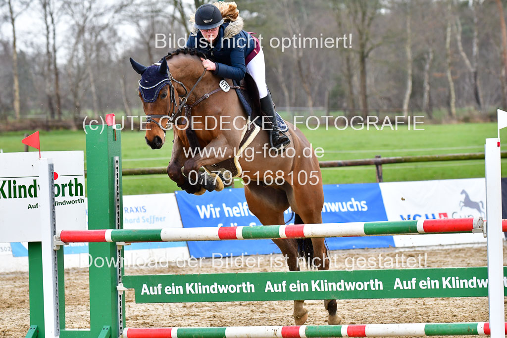 Reitsportzentrum Bremervörde | 070421 Springpferde L_145 