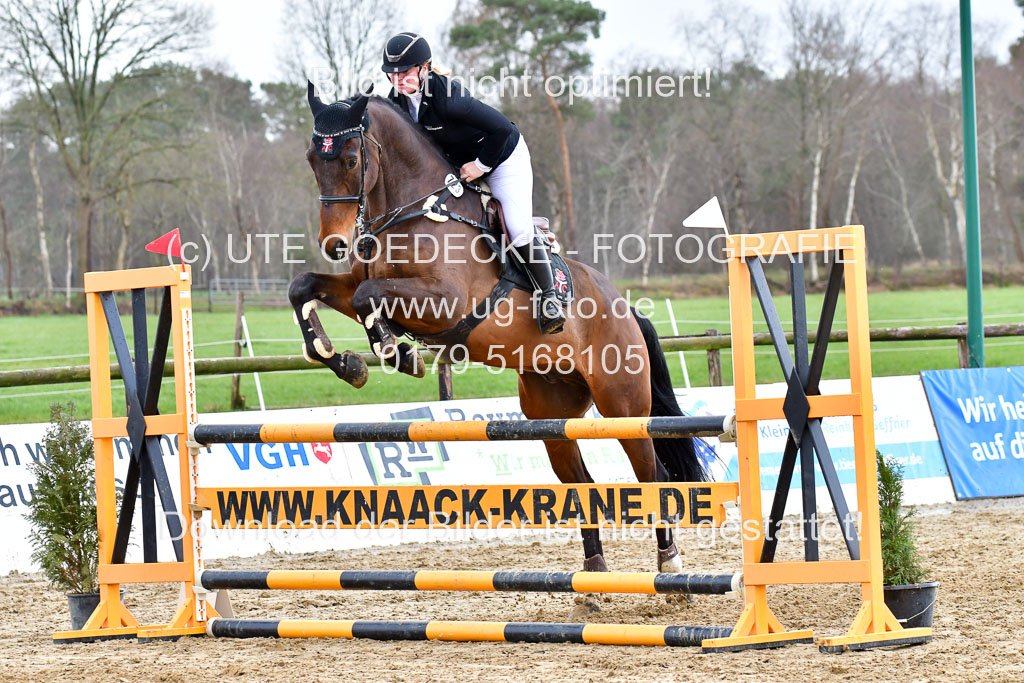 Reitsportzentrum Bremervörde | 070421 Springpferde L_149 