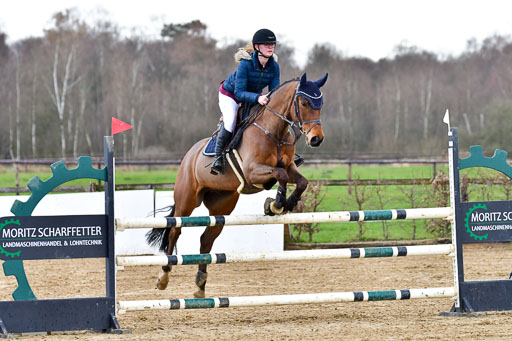 Reitsportzentrum Bremervörde | 070421 Springpferde L  2 _01 