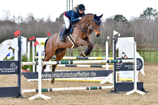 Reitsportzentrum Bremervörde | 070421 Springpferde L  2 _02 