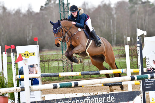 Reitsportzentrum Bremervörde | 070421 Springpferde L  2 _03 