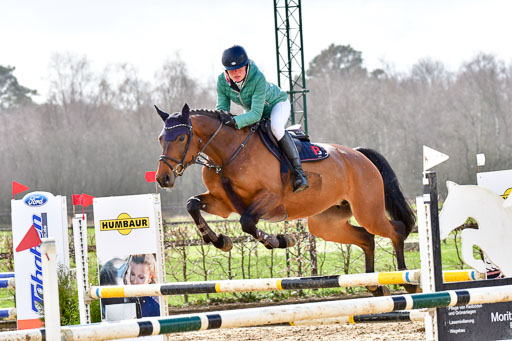 Reitsportzentrum Bremervörde | 070421 Springpferde L  2 _11 